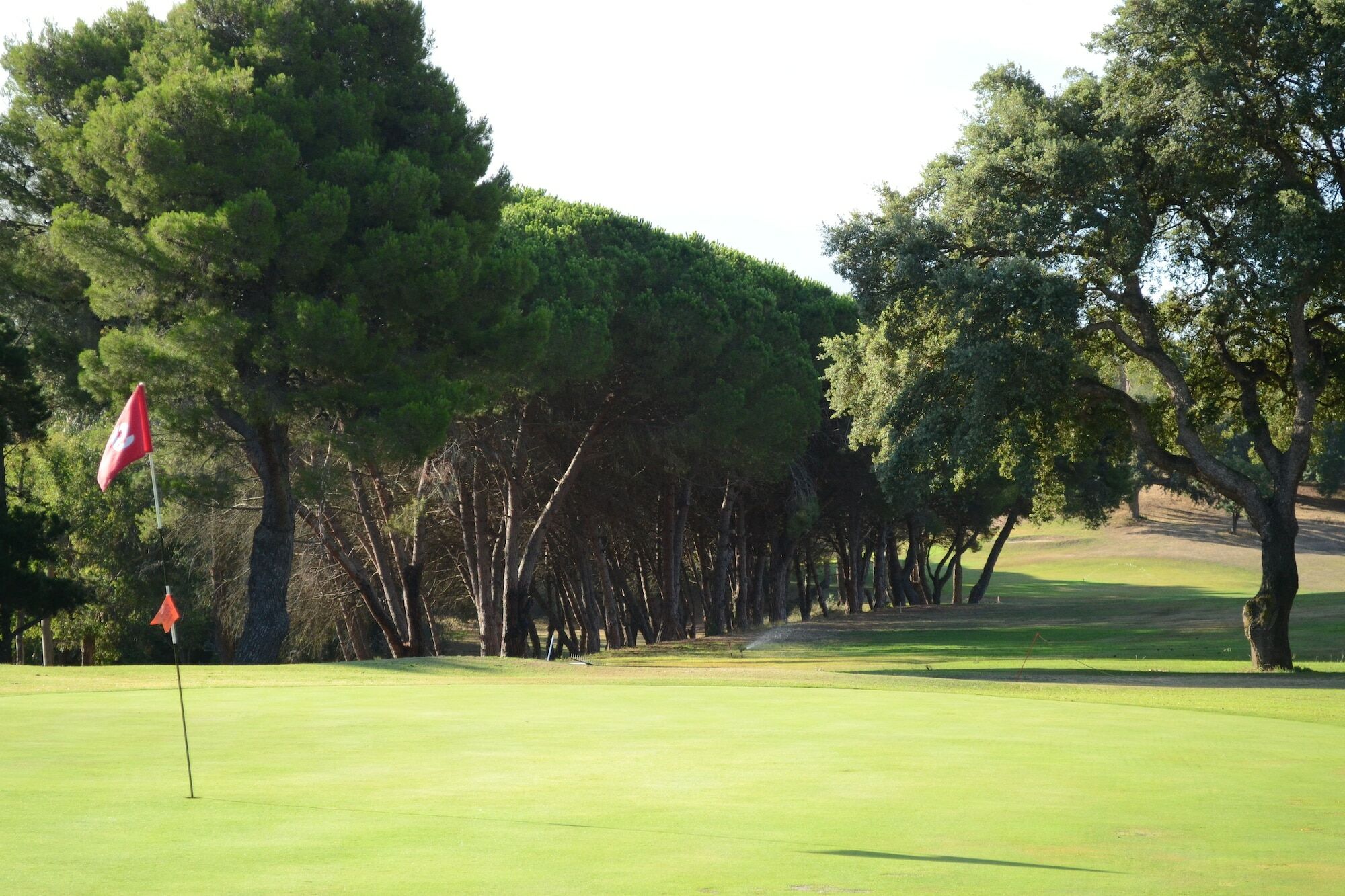 Allegroitalia Elba Golf Aparthotel Portoferraio Exteriör bild